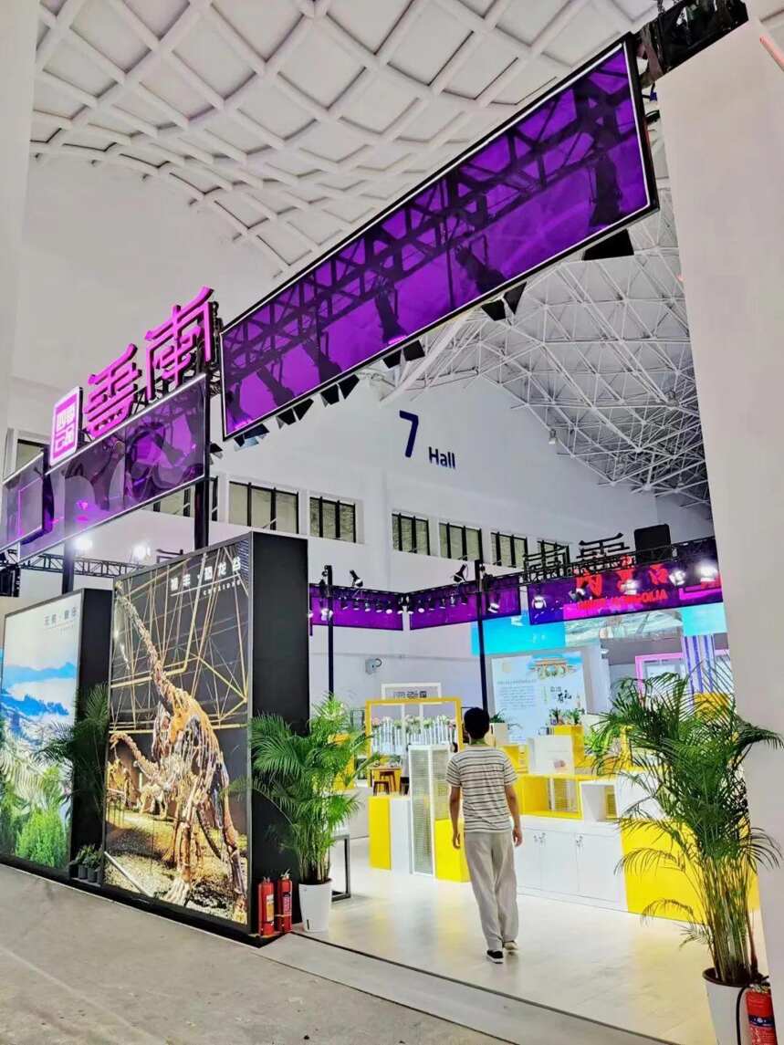 六大茶山亮相第二届中国国际消费品博览会，邀您直击首日现场