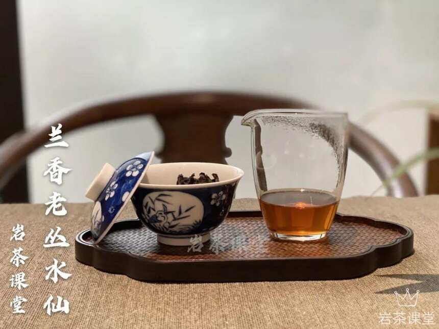 岩茶新手入门选水仙的4个好处，不是忽悠，全是多年经验总结