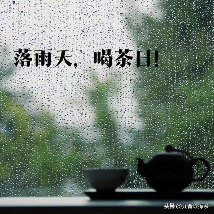 为什么雨天喝茶总吃香？️招让雨天的茶更好喝