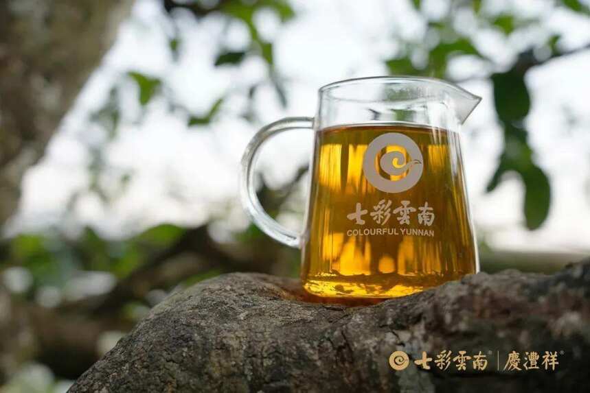 云南唯一！！茶行业唯一