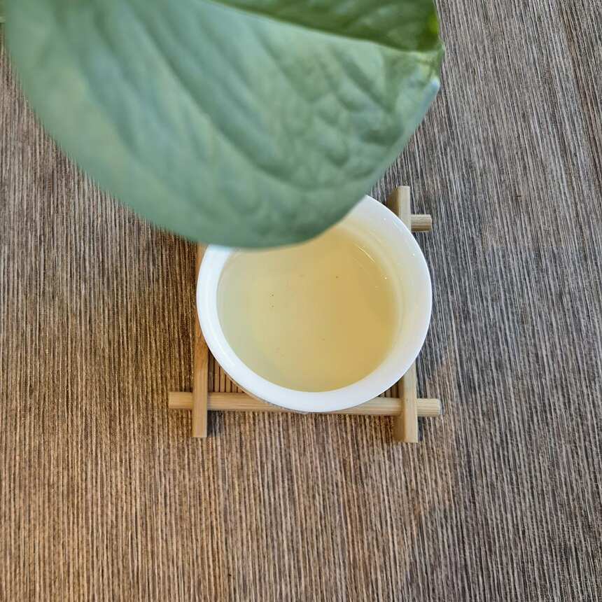 都是鲜爽好茶，普洱生茶和绿茶比，有哪些共同点，又有哪些不一样