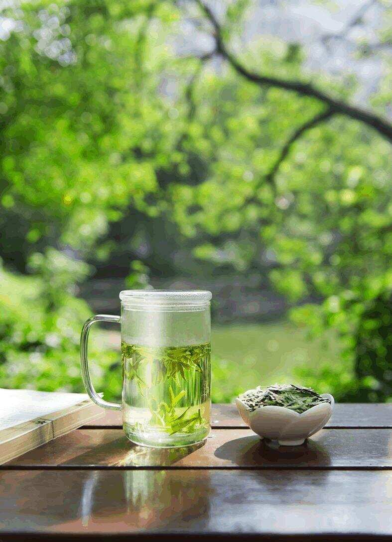 绿茶工艺四大门派，你最喜欢的茶属于哪一派？3分钟带你了解绿茶