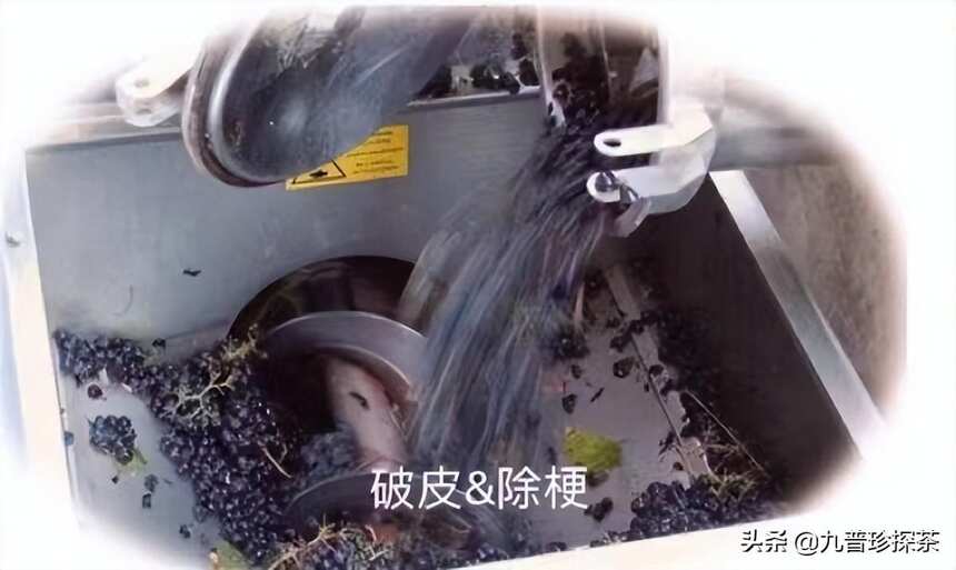 红葡萄酒的一般酿造过程