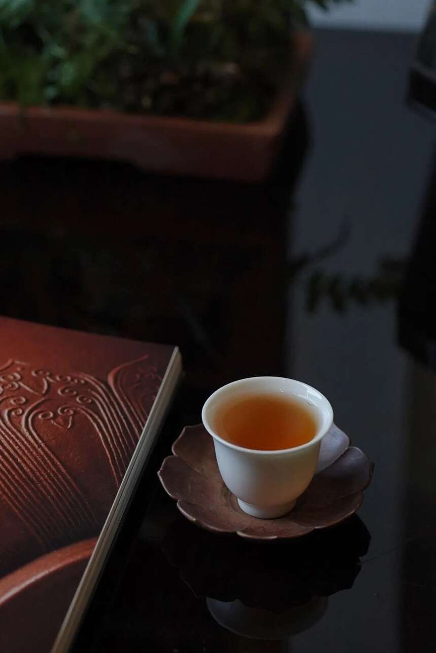 夏日侍茶 | 一间茶室，喝茶消夏