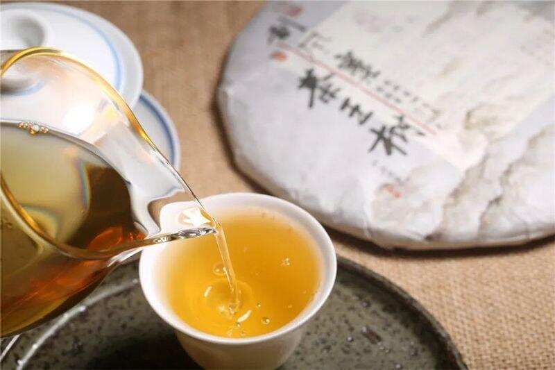 李桂荣说茶丨刮风寨茶王树：绵柔有力，一口就可以征服茶人的味蕾