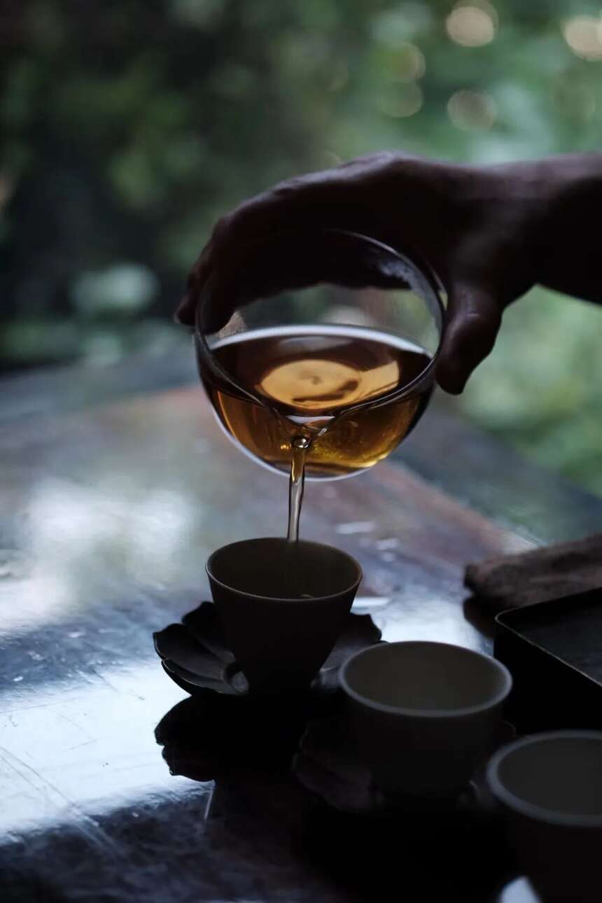夏日侍茶 | 岁月珍品，易武知味