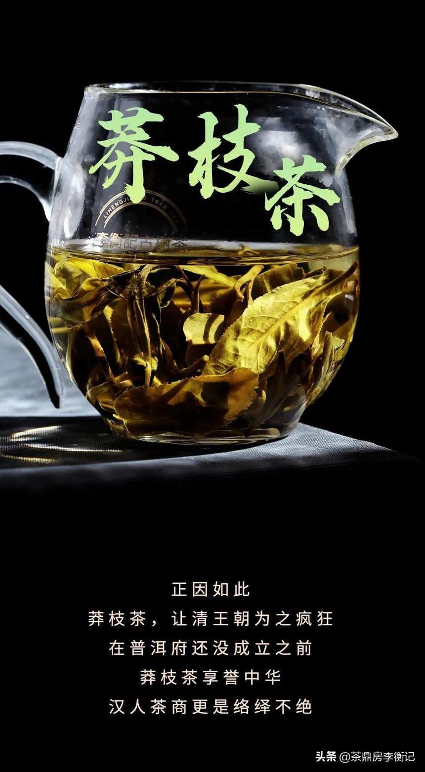 是什么茶让清王朝如此疯狂？
