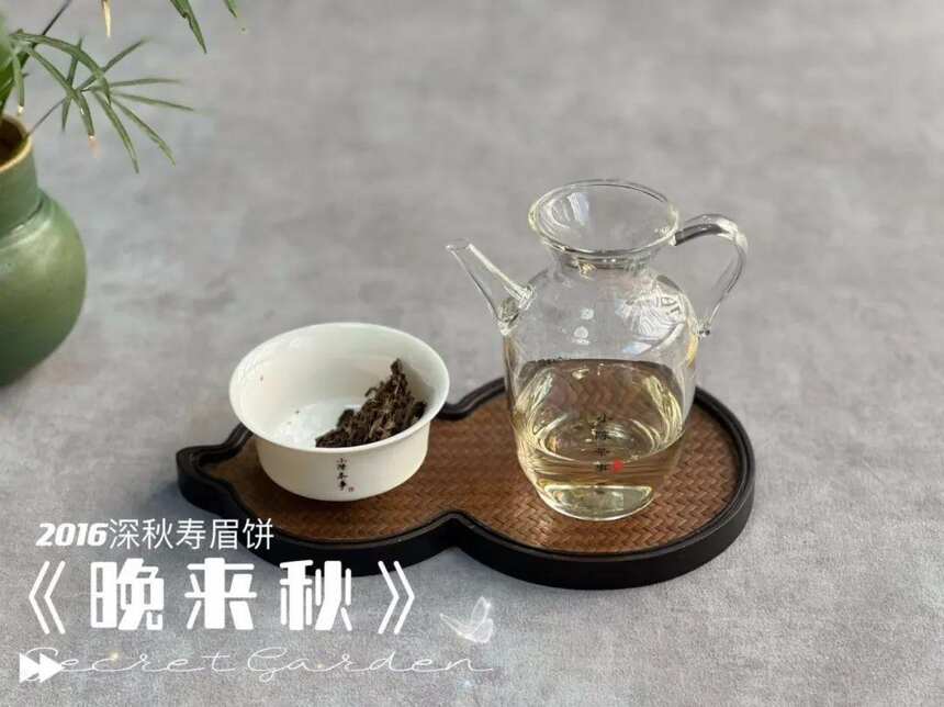 泡茶之前，有必要洗茶吗？绿茶、白茶、红茶、普洱，哪些需要洗？