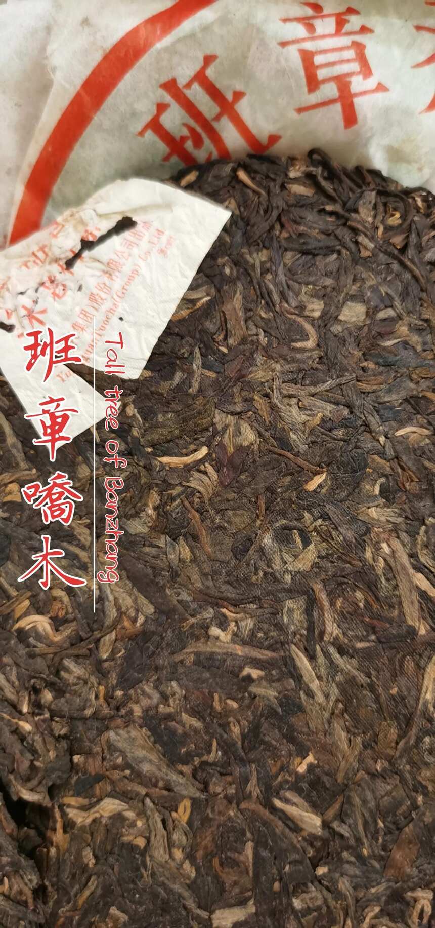 茶品鉴：2012班章乔木