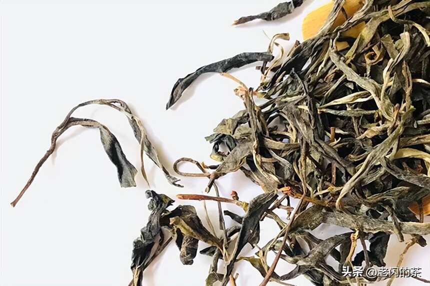 「那焦古树茶」300亩古树茶，游离氨基酸达到5.3%