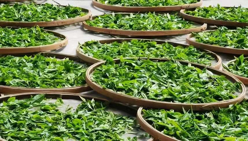 海南远航红茶的历史由来，你知道吗？