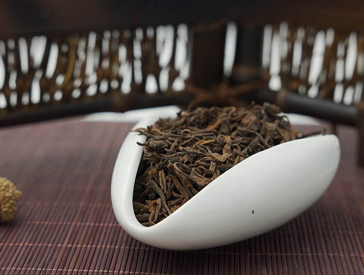 茶知识｜普洱茶是什么茶？云南都是大叶种茶树吗？