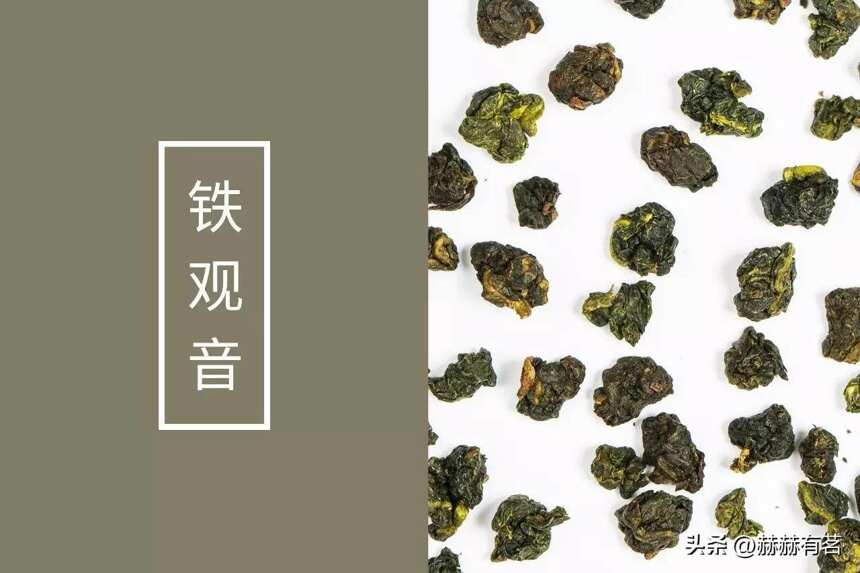 中国有种名茶叫台湾茶，2023一定坐高铁去喝