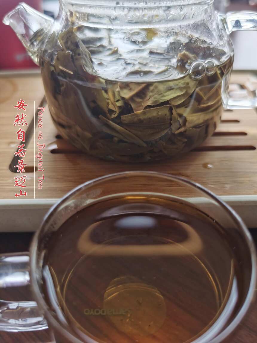 茶品鉴：安然若素景迈山