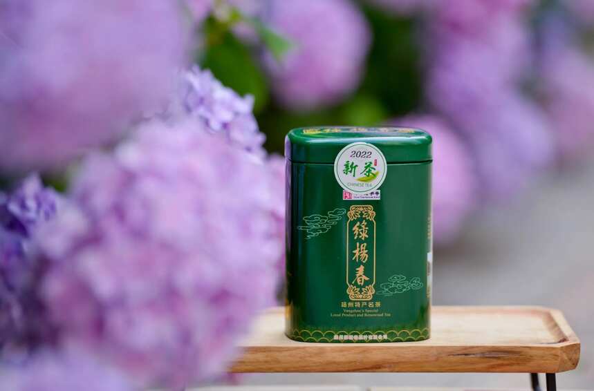 绿茶联赛 ▏江苏绿茶的内部交流赛？雨花茶与绿杨春对冲评测