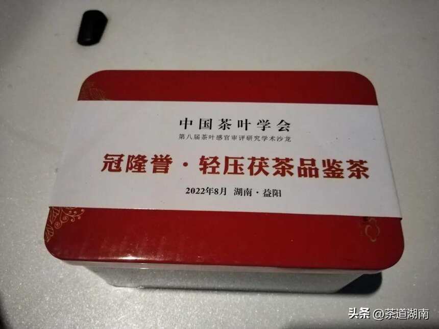 中国茶叶学会学术沙龙在益阳举行