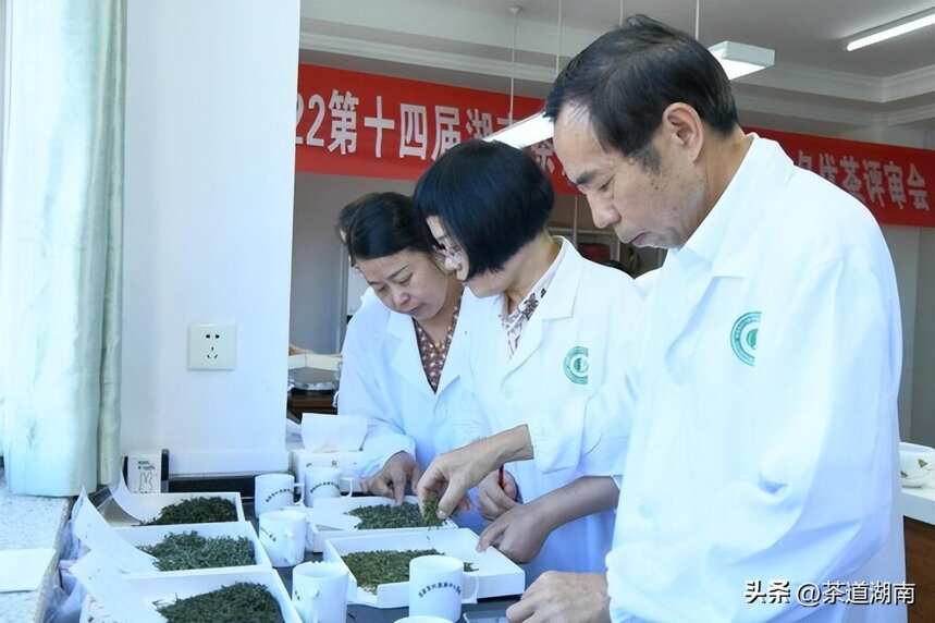 2022湖南茶博会“茶祖神农杯”名优茶评审会在长沙举行