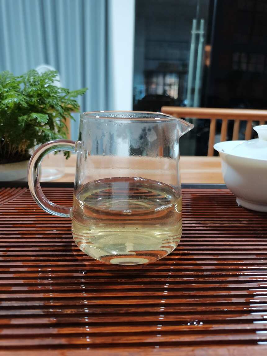 冰岛地界大树茶的精髓：一口清凉韵，持续一整天