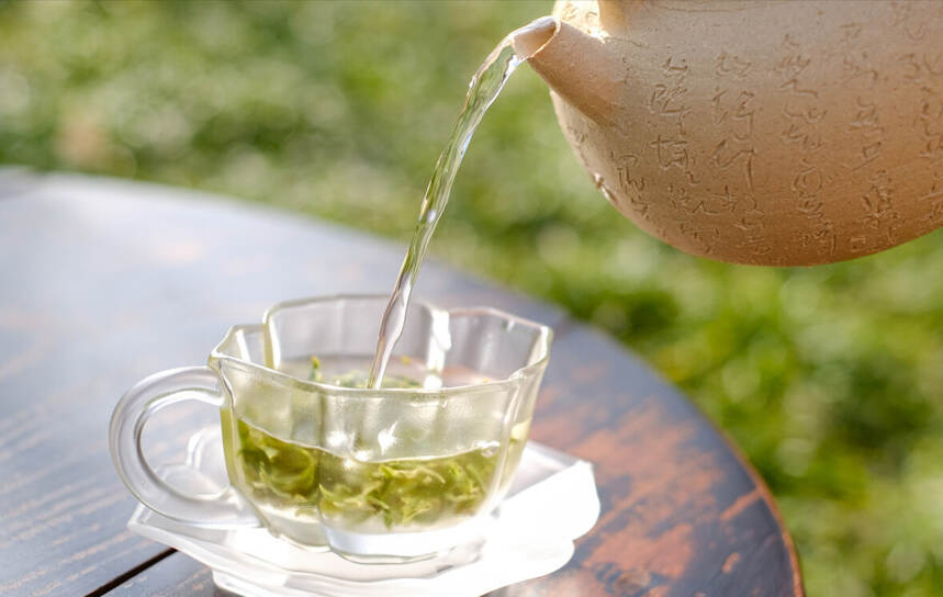 泡一杯茶放多少茶叶更好喝？老茶客：掌握两种投茶法，轻松泡好茶