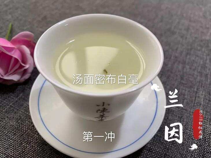 紫砂壶泡醇，白瓷盖碗泡香？冲泡老白茶用什么茶具才好？