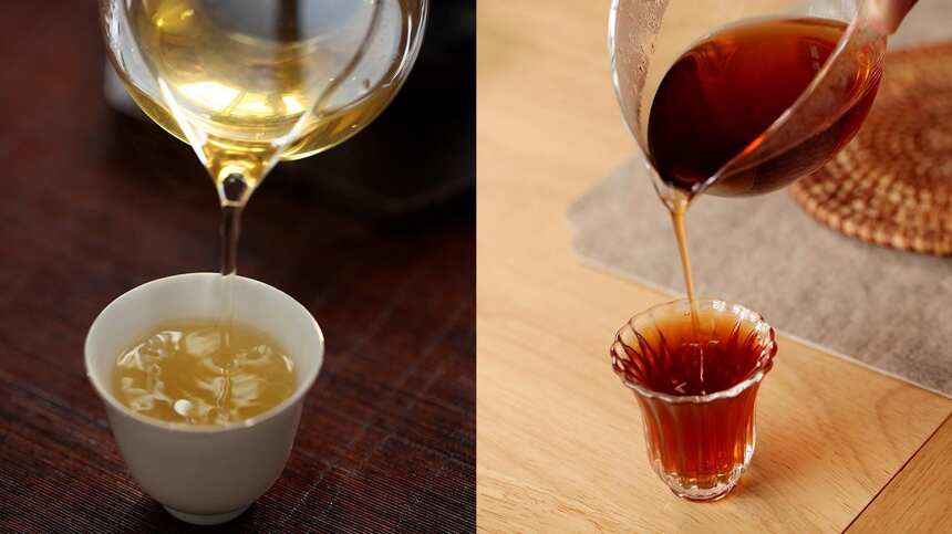 普洱生茶和熟茶的区别是什么？6点快速分辨