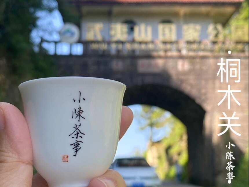 从福鼎白茶、武夷岩茶，到桐木红茶，真正的好茶区，是什么样的？