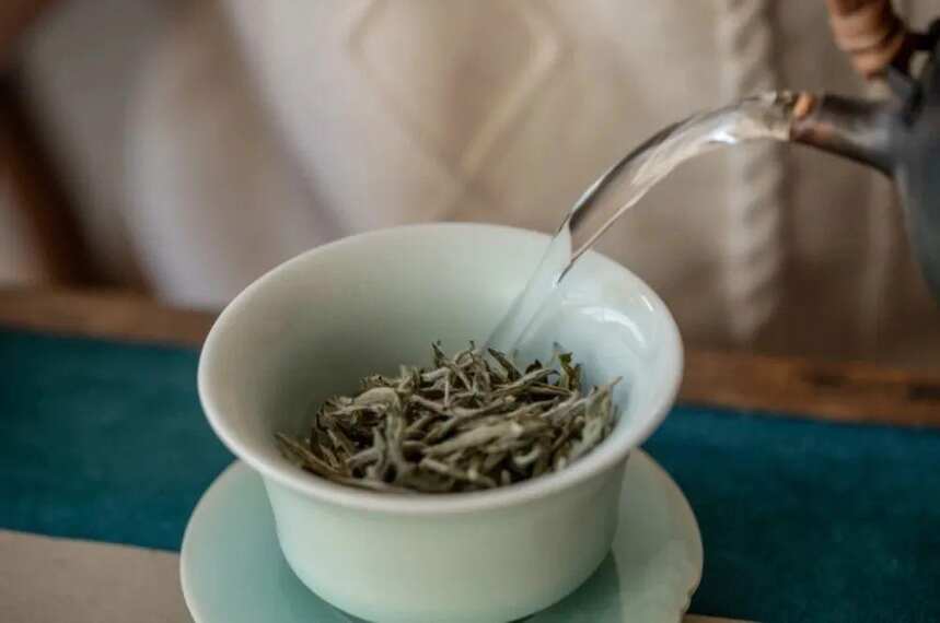 夏天怎么喝老白茶更健康？喝茶要依据体质