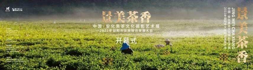 景美茶香—中国·安化黑茶文化摄影艺术展顺利开幕