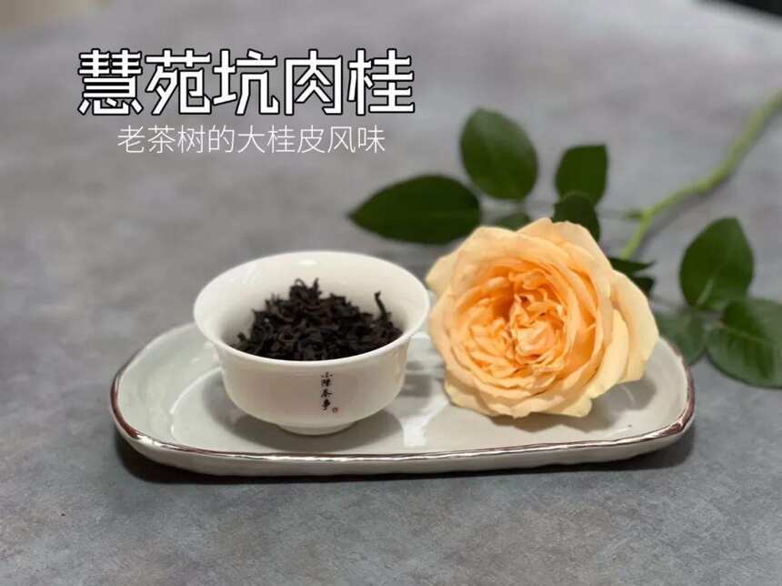 从水仙、肉桂，到大红袍，对于武夷岩茶，我们的标准变了？