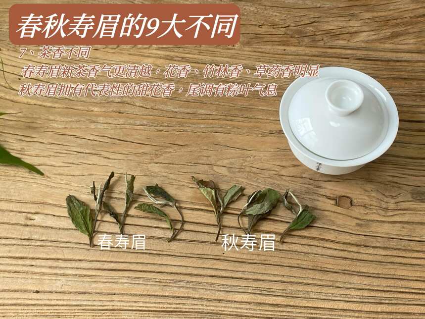 与春白茶相比，秋白茶有什么不同？春水秋香可以概括两种白茶吗？