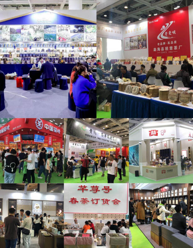 第14届湖南茶业博览会将于9月2日盛大启幕