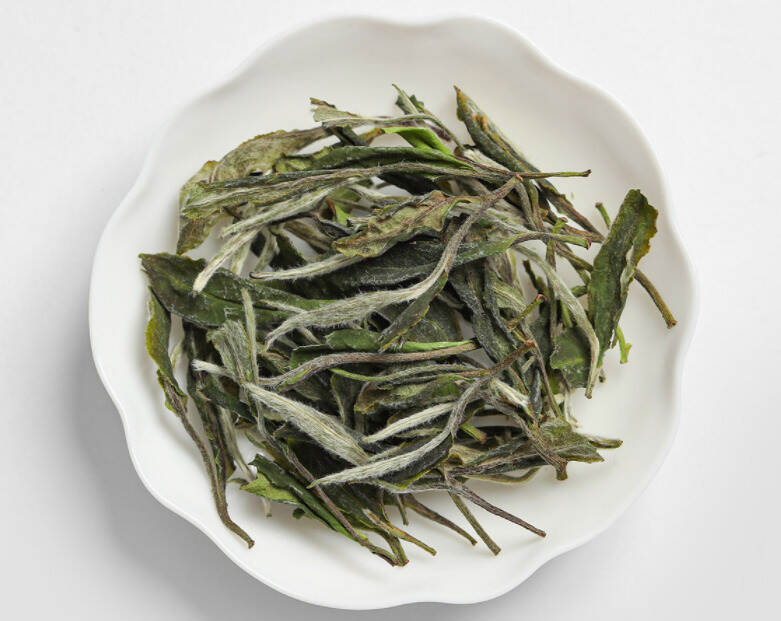 福鼎白茶的4大产区，哪里的品质最好？