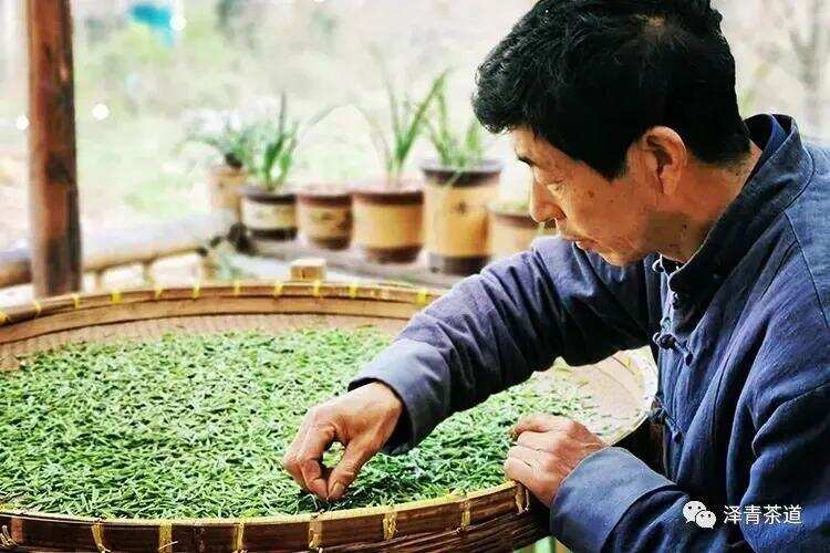 这13种国家级非遗绿茶及传承人，你都知道吗？