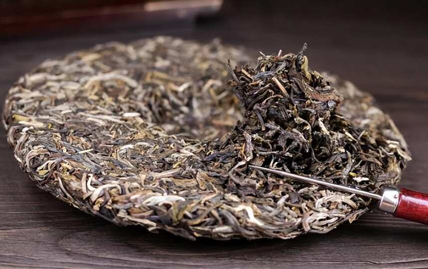 怎么识别古树茶茶叶？