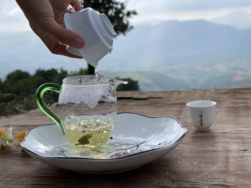秋天适合喝什么白茶？春茶，秋茶，或是老白茶？一篇文章说清楚