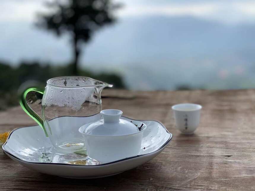 秋天适合喝什么白茶？春茶，秋茶，或是老白茶？一篇文章说清楚