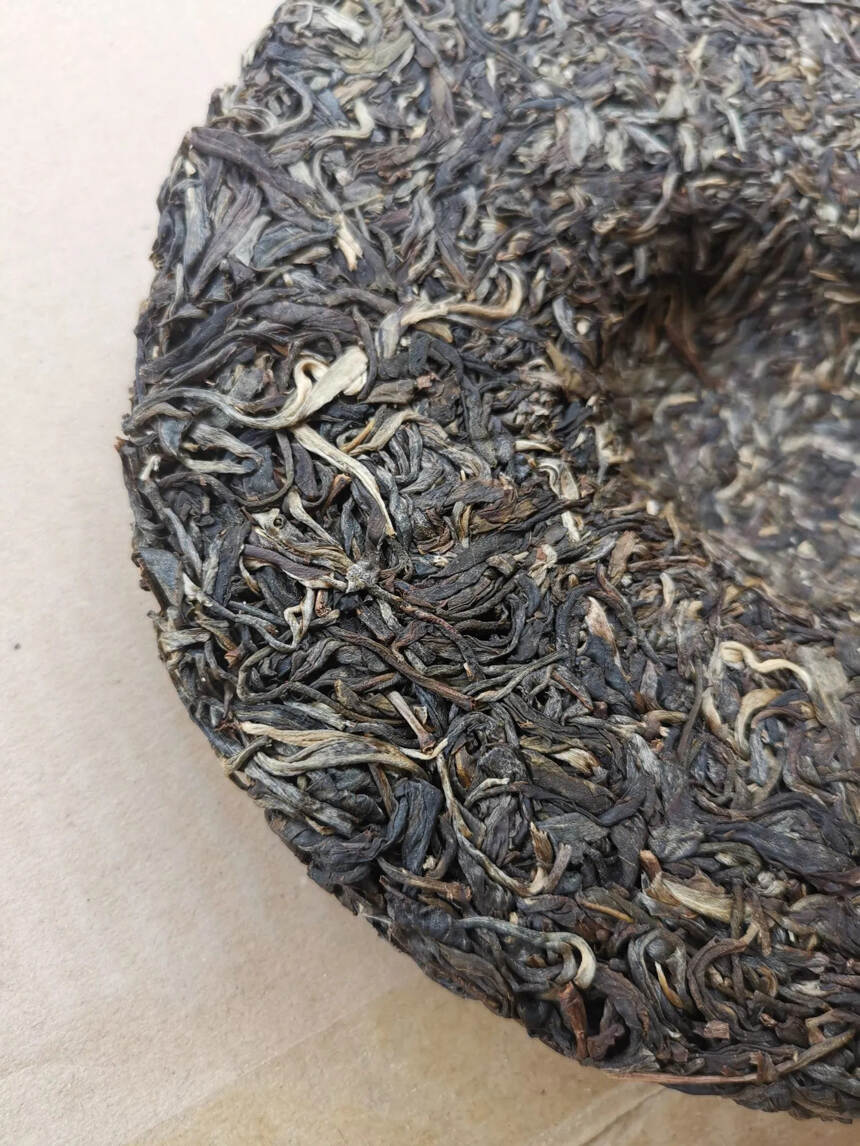 #普洱茶# 2019年班盆古树茶树干粗壮，茶树上寄生