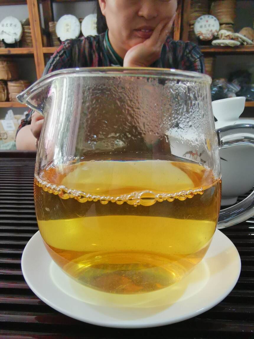 #普洱茶# 2019年班盆古树茶树干粗壮，茶树上寄生