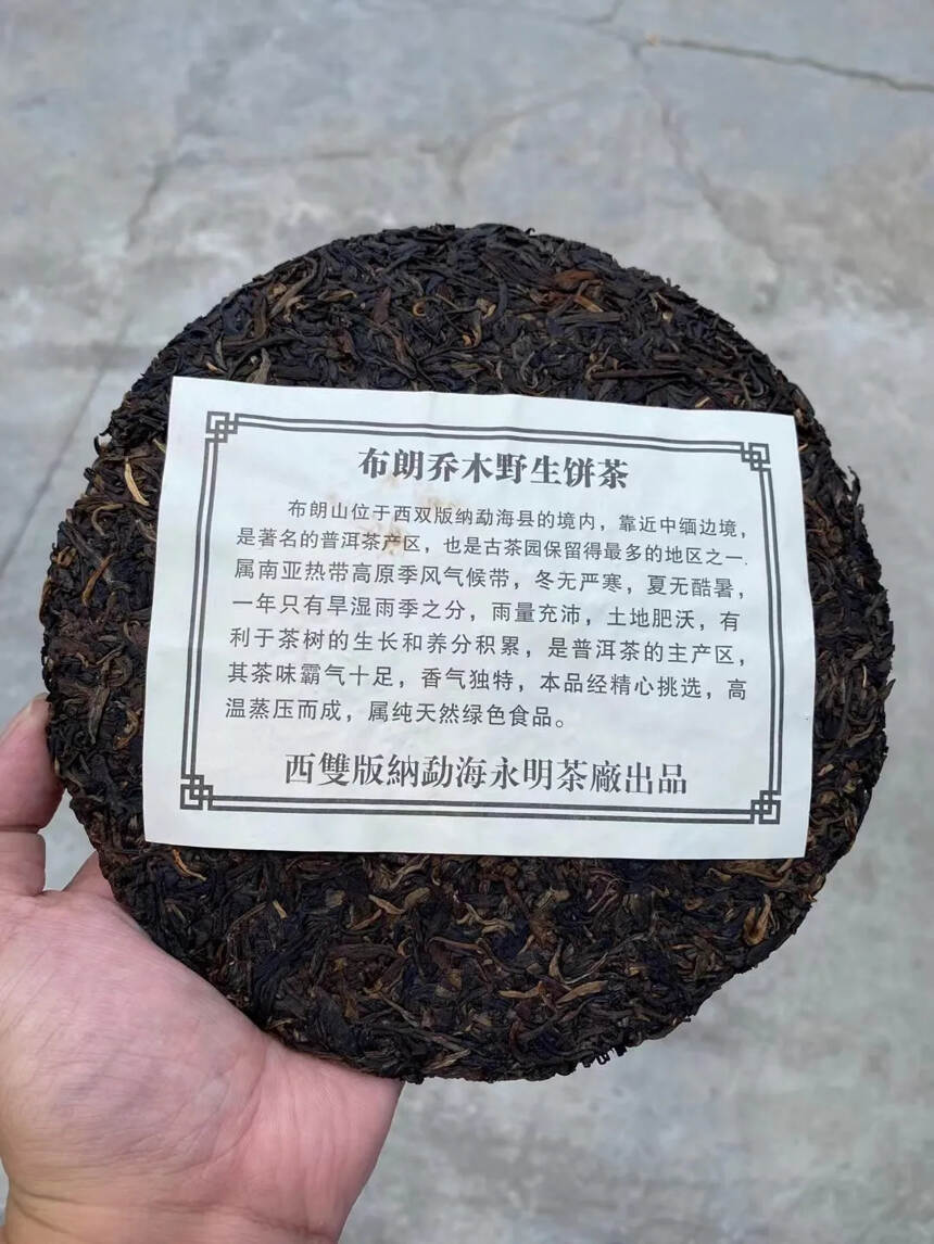 #普洱茶# 2004年永明白菜茶王青饼。
