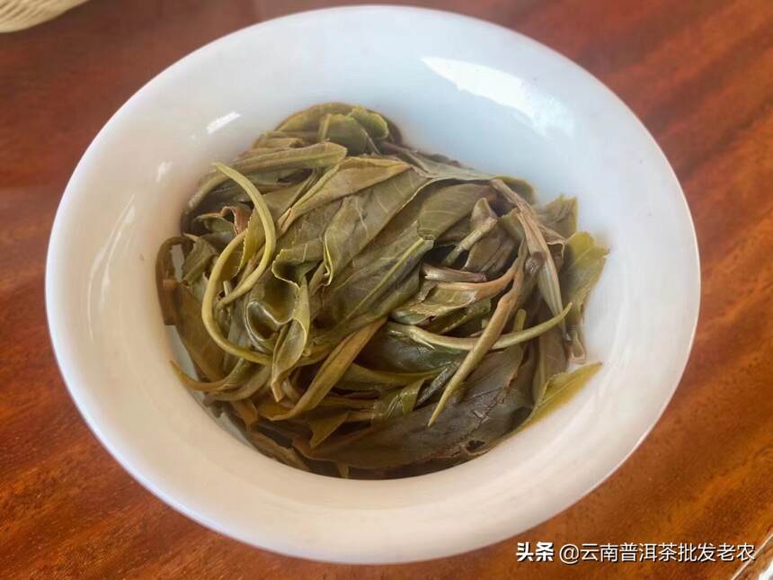 2021年班章茶茶品条索粗壮，芽头肥厚且多绒毛，有强