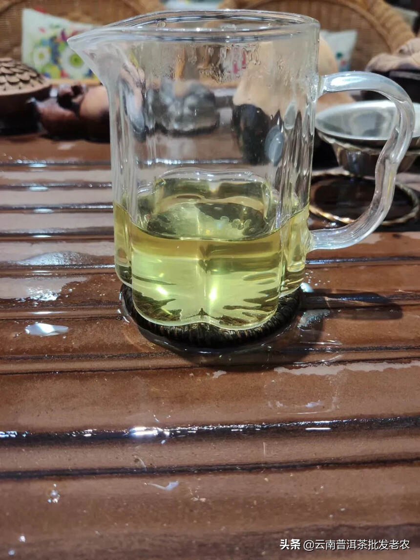 2021滑竹梁子头春古树
版纳最高海拔茶叶，茶汤金黄