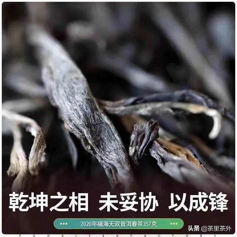 春茶标杆范本之作，独特的迷人野韵2020年福海茶厂