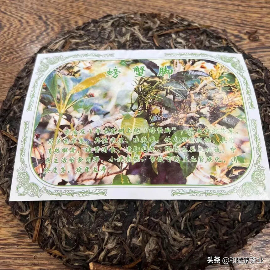 普庆号古树螃蟹脚生茶饼，老生茶+纯野生古树螃蟹脚完美