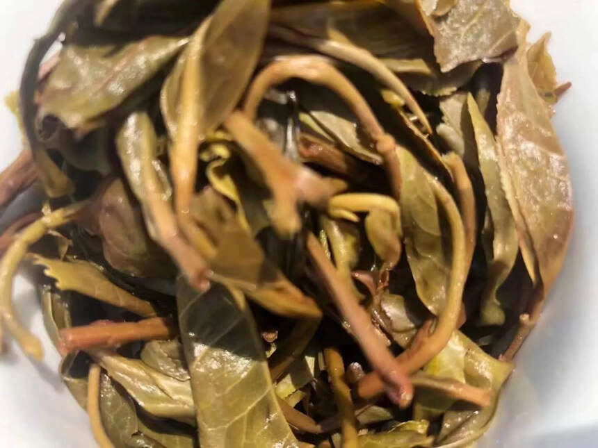 2022年曼糯古树茶，条索肥壮饱满，口感柔和细腻，茶