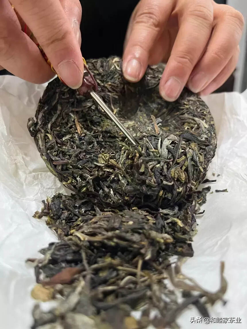 2022年则道曼松王子山有机茶
        干茶