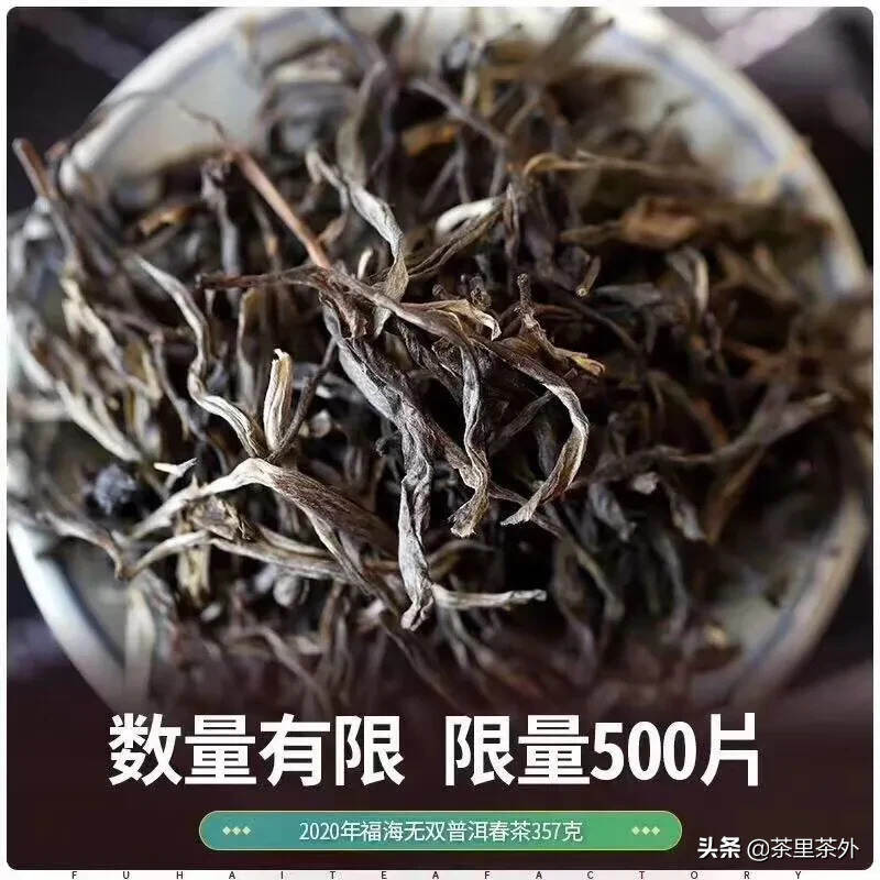 春茶标杆范本之作，独特的迷人野韵2020年福海茶厂