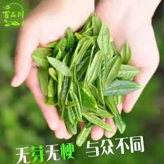 六安瓜片
2021年新茶安徽绿茶雨前手工茶叶六安瓜片