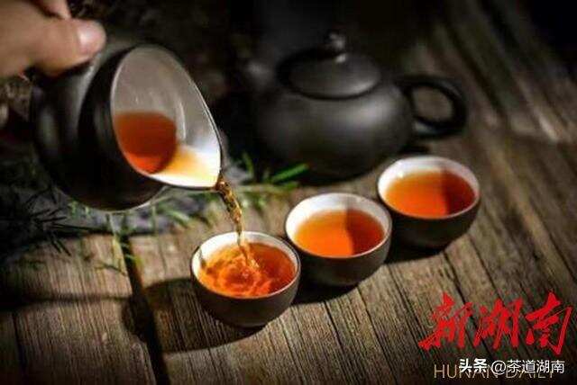 初探新化红茶的健康密码