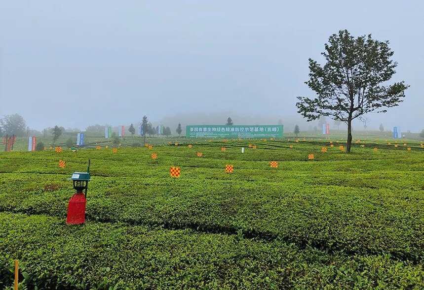 茶资讯 | 全国茶树害虫绿色精准防控新技术推介会在湖北五峰召开