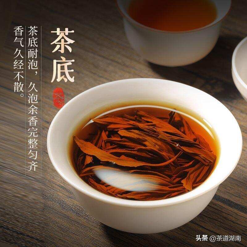 茶文：老茶树--我的新化我的茶